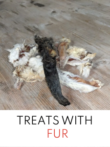 Treats with fur